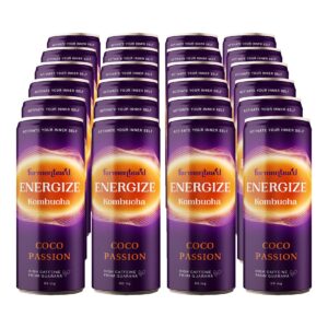 Kombucha Energize Coco Passion 250 ml Dose