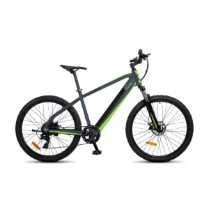 SachsenRad E-Racing Mountain Bike R8 Ranger grau