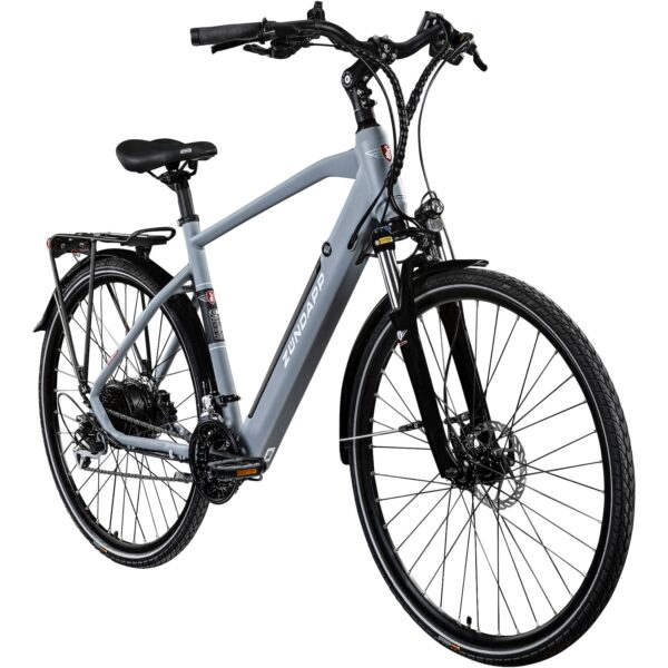 Zündapp Z810 E Bike Trekkingrad Herren ab 160 cm mit 24 Gängen und Beleuchtung StVZO