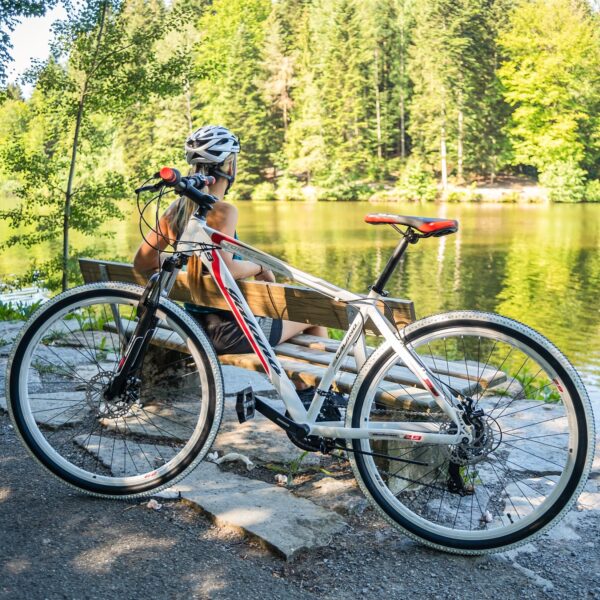 Galano Toxic Mountainbike Hardtail 29 Zoll für Erwachsene ab 175 cm MTB Fahrrad 21 Gang Federgabel Scheibenbremsen