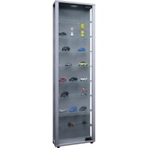 Vitrinenschrank Glas Sammler LED Vitrine Standvitrine Wohnzimmer Schrank silber