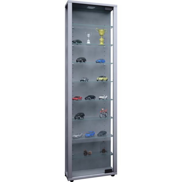 Vitrinenschrank Glas Sammler LED Vitrine Standvitrine Wohnzimmer Schrank silber