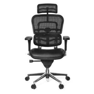 Luxus Chefsessel ERGOHUMAN BASE ONE Leder mit Armlehnen (höhenverstellbar) hjh OFFICE