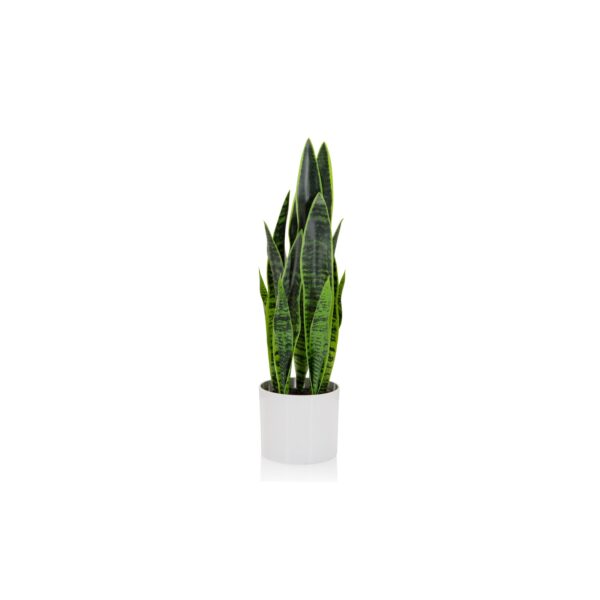 Kunstpflanze SANSEVIERIA Kunststoff