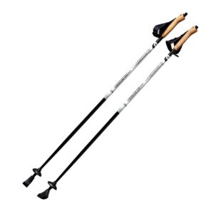 Walking Sticks Carbon