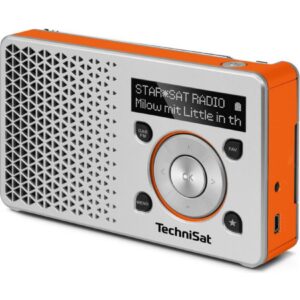 TechniSat DIGITRADIO 1 DAB+ Radio silber/orange