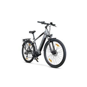 ROVER Trekking E-Bike TMM 709