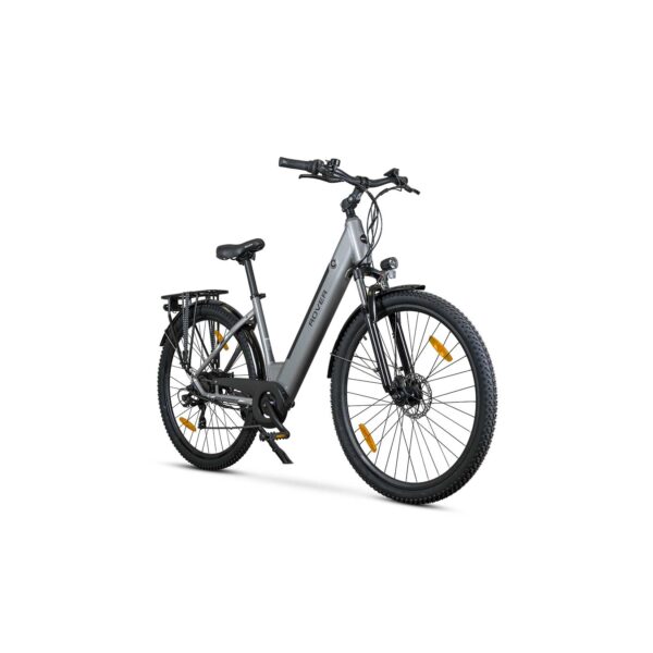 ROVER Trekking E-Bike TLR 709