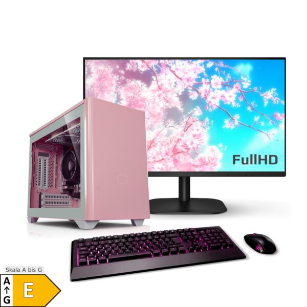 PC Set mit 23.8 Zoll TFT Zindarella AMD Ryzen 5 4600G