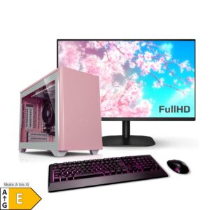 PC Set mit 27 Zoll TFT Zindarella AMD Ryzen 5 5600G