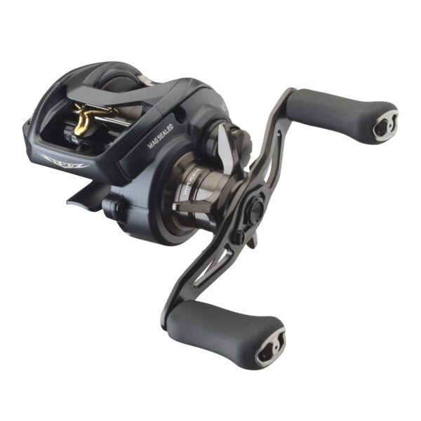 Daiwa STEEZ A II TW 1000L Baitcastrolle