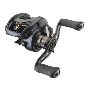 Daiwa STEEZ A II TW 1000HL Baitcastrolle