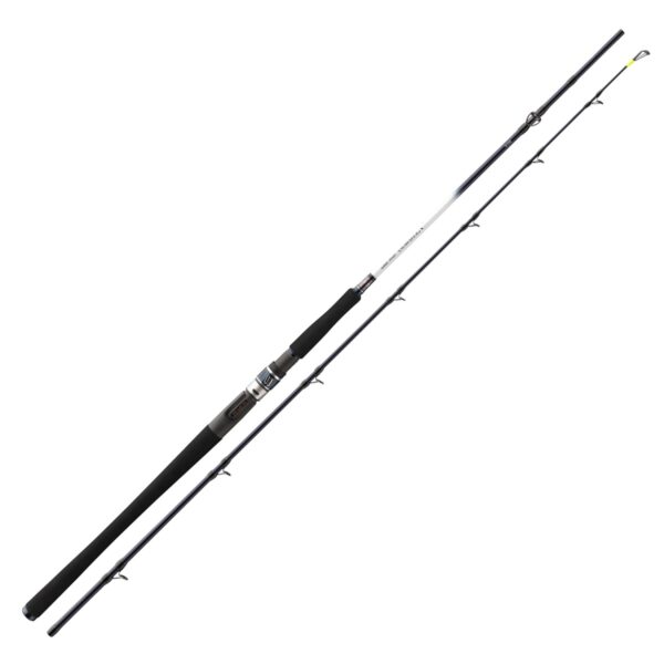 Daiwa Grandwave BC 2.25m 30-40lbs Heilbutt-Meeresrute