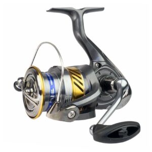 Daiwa 20 LAGUNA LT 1000 Spinnrolle