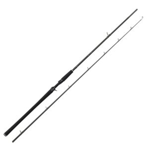 Westin W2 Powercast-T 8'3"/248cm XXH 40-130g Baitcastrute