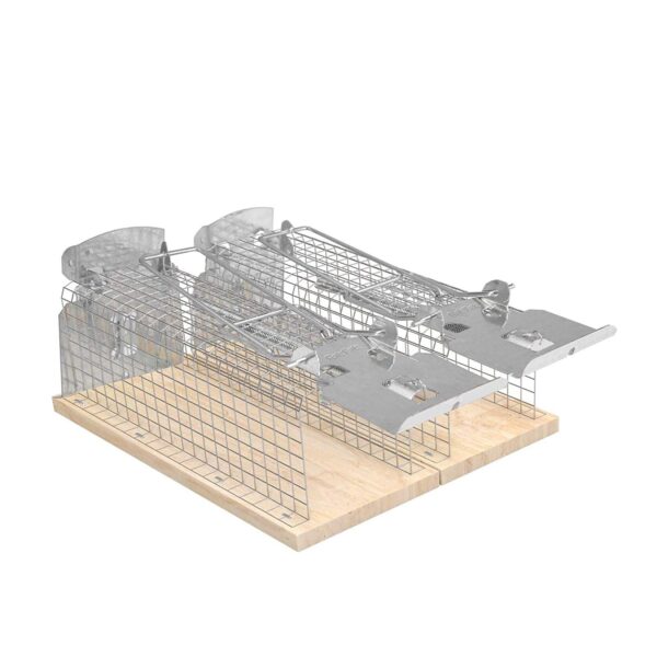 RatzFatz® 2X Mausefalle Lebendfalle 20cm Groß ?Inkl Ebook? Effektiv