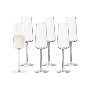 Stölzle Lausitz Champagnergläser Power 240 ml 6er Set